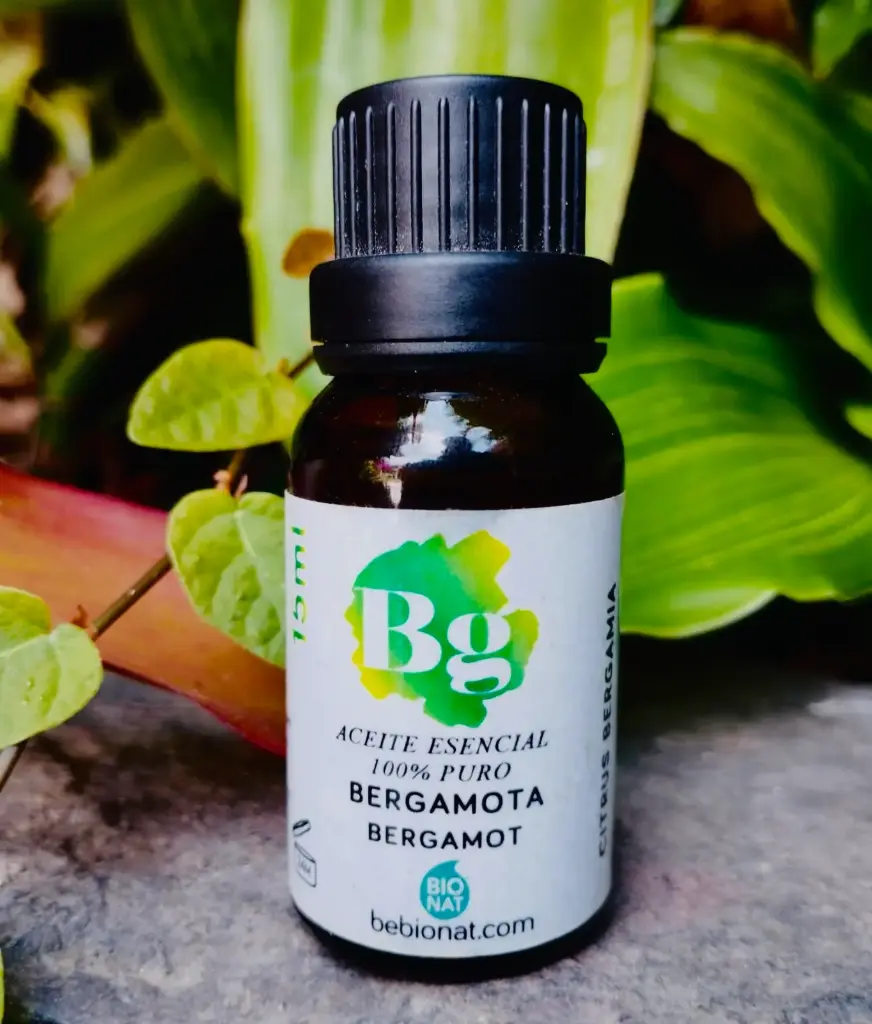 Bergamota