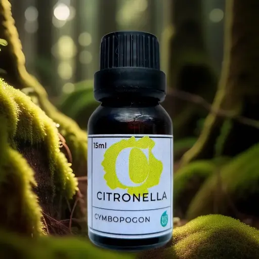 [AE 8062] AE - Citronela